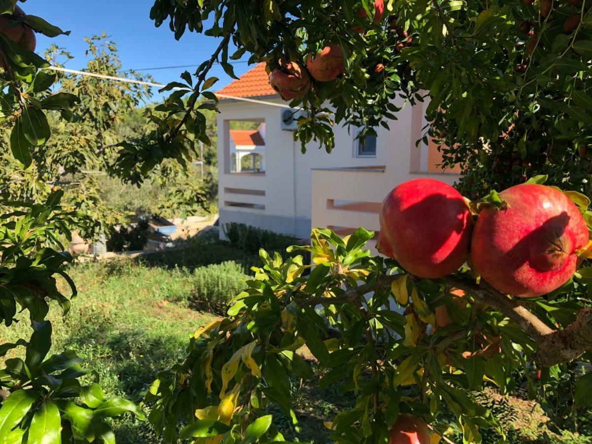 Roses Apartment Lukoran Exteriér fotografie